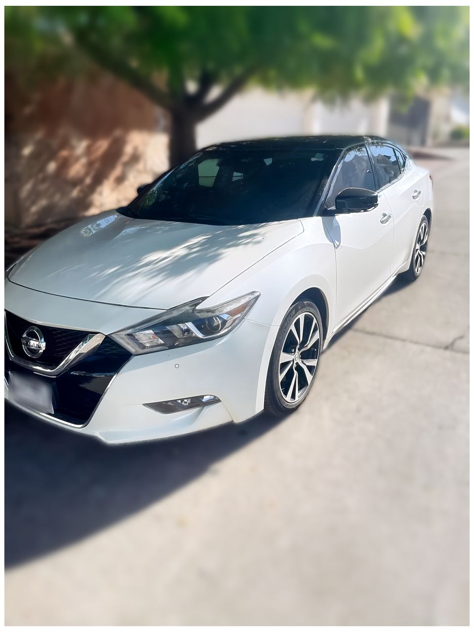 Autos seminuevos - Nissan Maxima 2018