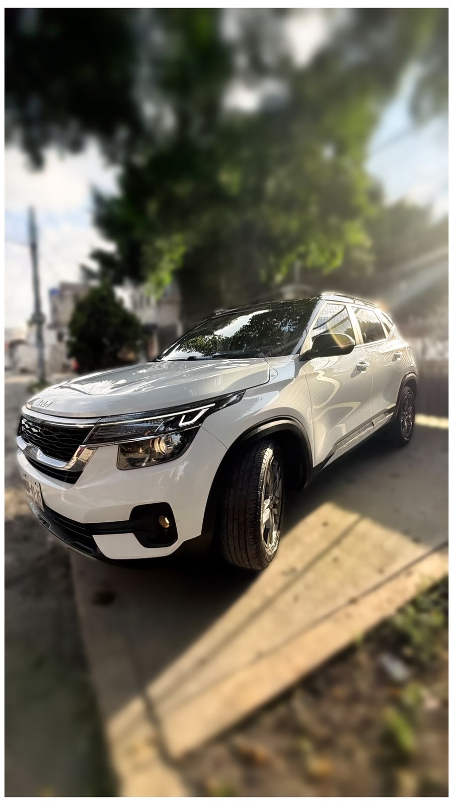 Autos seminuevos - Kia Seltos 2022