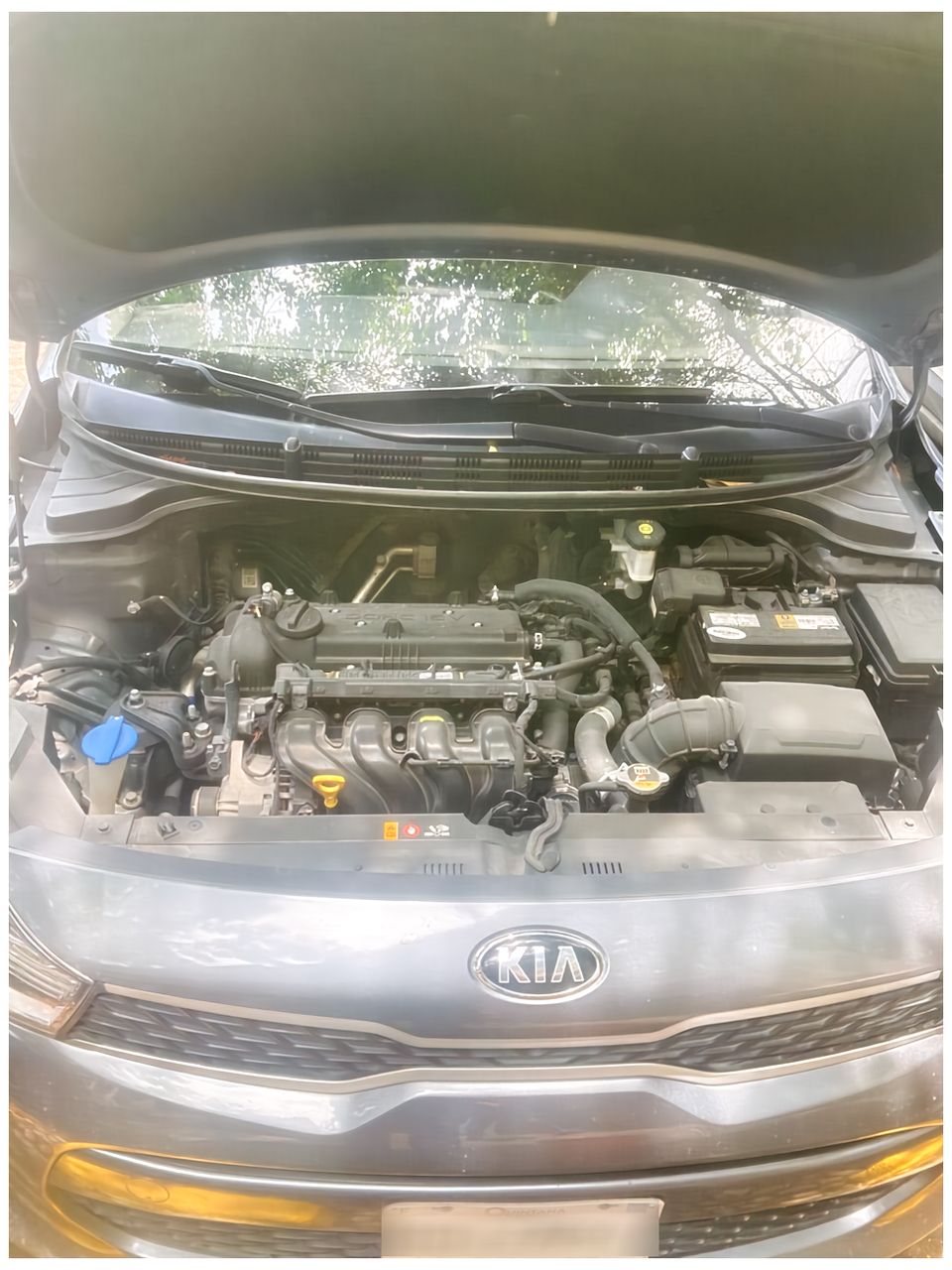 Autos seminuevos - Kia Rio 2020